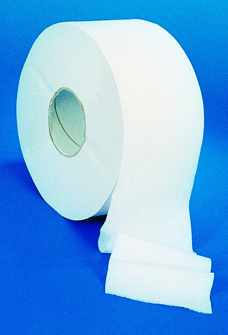 Lot de 12 bobines papier toilette MINI JUMBO, 2 plis-